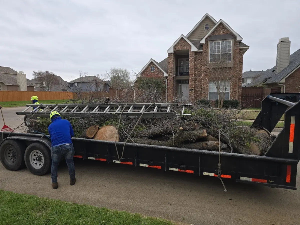 Expert Tree Fertilization with proper safety equipment in Chaseley